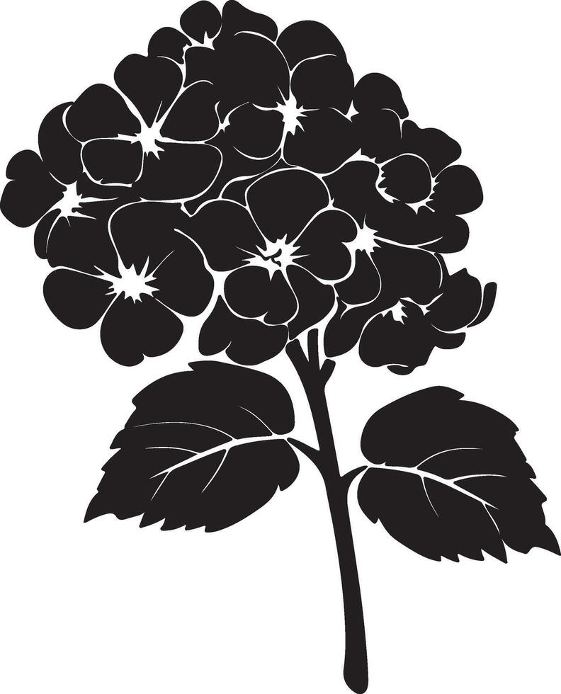 hortensia bloem silhouet vector illustratie wit achtergrond