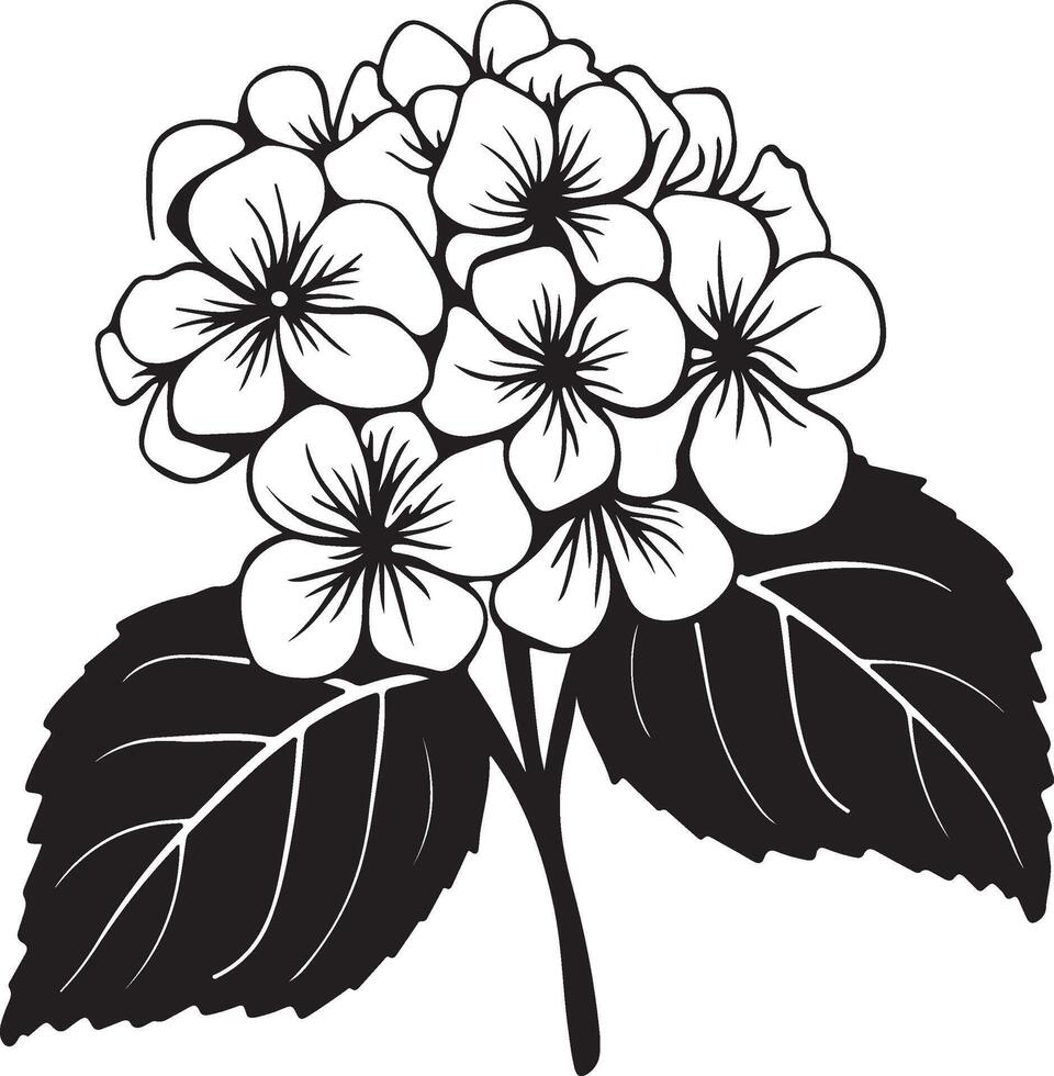 hortensia bloem silhouet vector illustratie wit achtergrond