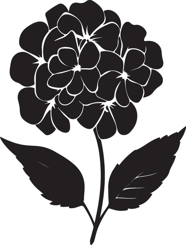 hortensia bloem silhouet vector illustratie wit achtergrond