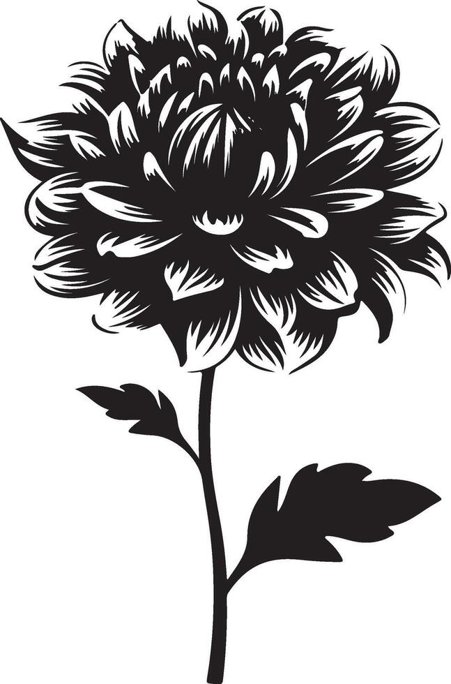 dahlia bloem silhouet vector illustratie wit achtergrond