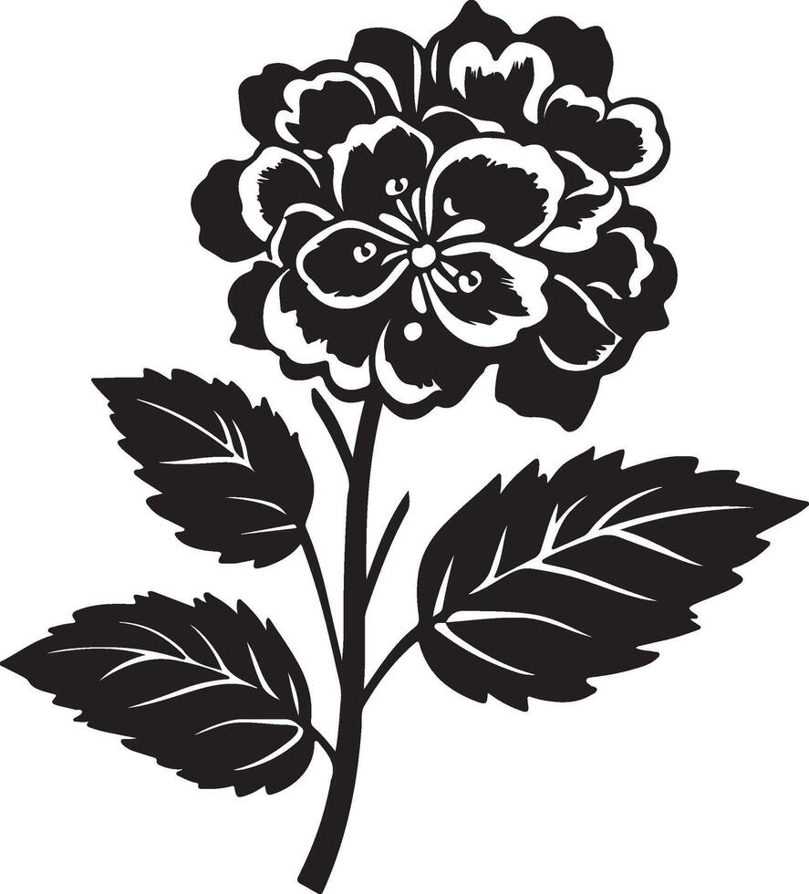 hortensia bloem silhouet vector illustratie wit achtergrond