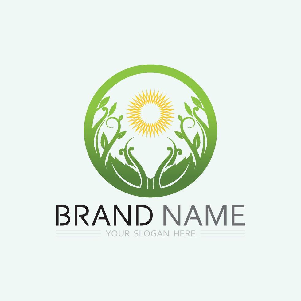 blad logo ontwerp vector voor natuur symbool sjabloon bewerkbare, groene blad logo ecologie natuur element vector pictogram.