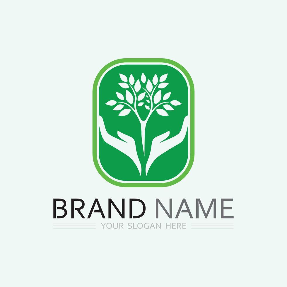 blad logo ontwerp vector voor natuur symbool sjabloon bewerkbare, groene blad logo ecologie natuur element vector pictogram.