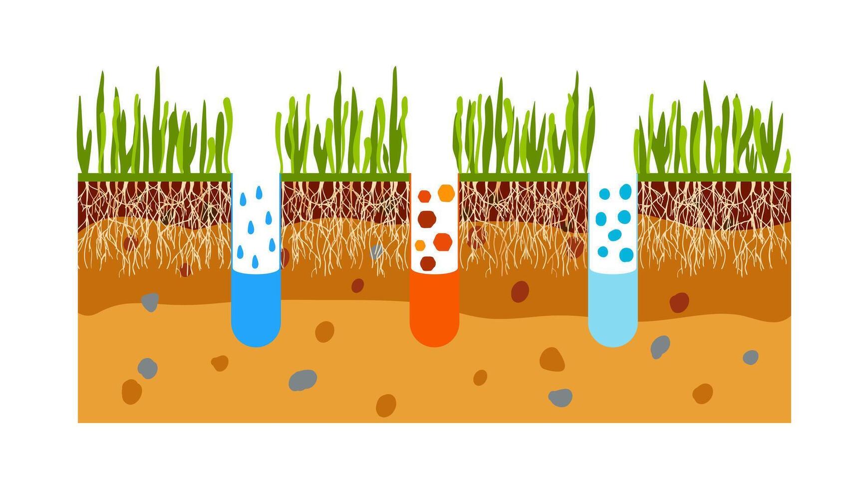 gazon beluchting. concept van gazon gras zorg, tuinieren onderhoud, voordelen van beluchting. water, lucht en kunstmest hebben gemakkelijk toegang naar bodem vector