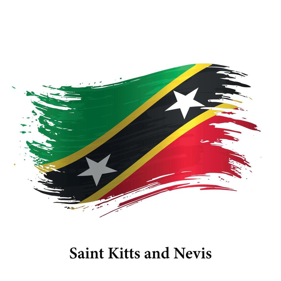 grunge vlag van heilige kitts en navi, borstel beroerte vector