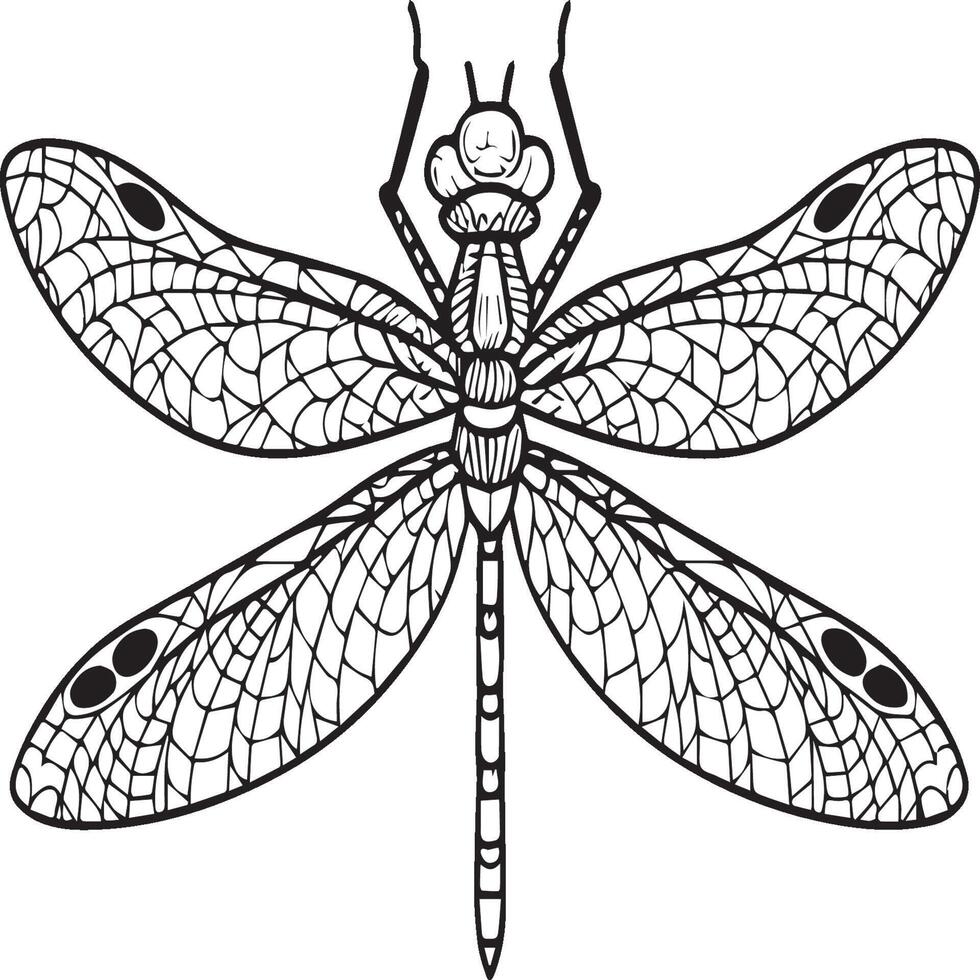 insecten kleur Pagina's voor kleur boek. insecten schets vector. vector