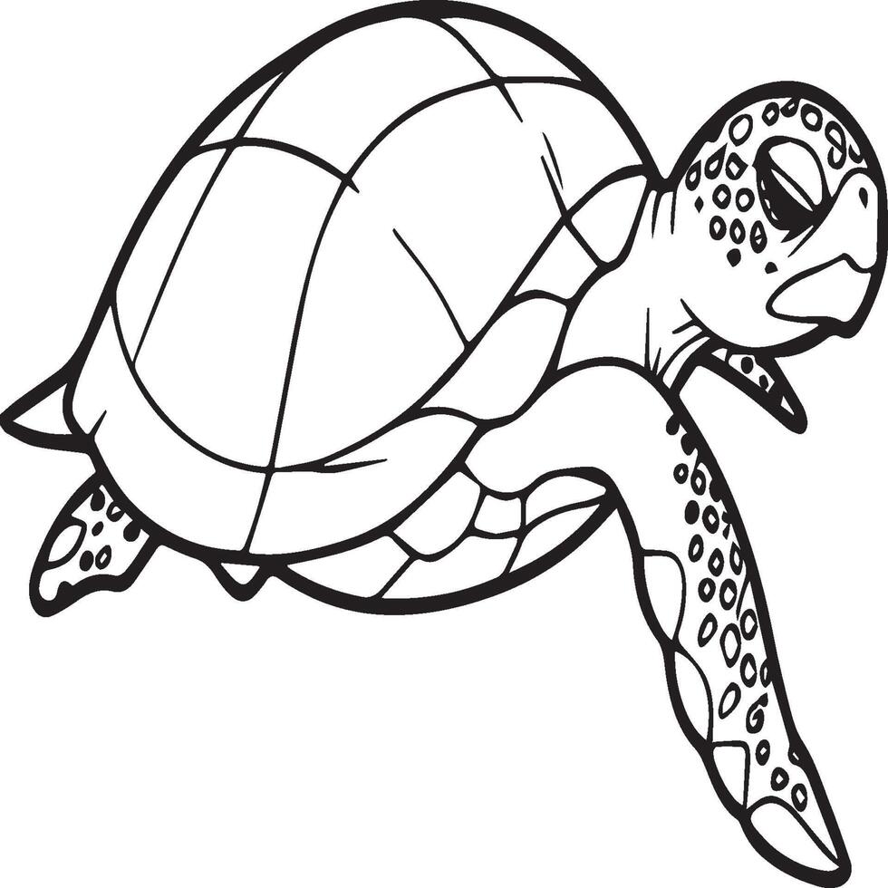 zee schildpad kleur Pagina's. zee schildpad schets voor kleur boek vector