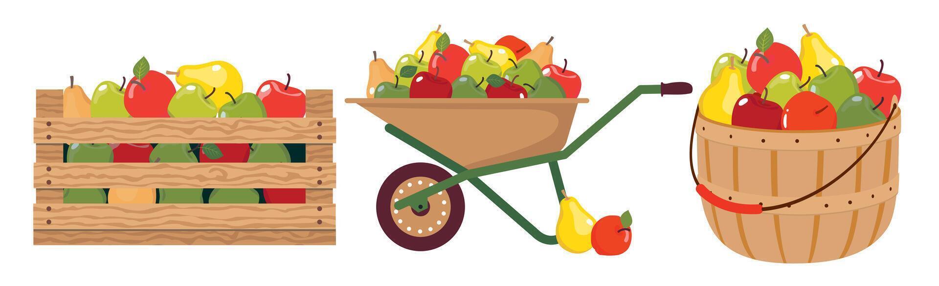 een reeks van boerderij fruit in een mand, doos, kar. divers tuin containers met appels en peren. vector geïllustreerd clip art.
