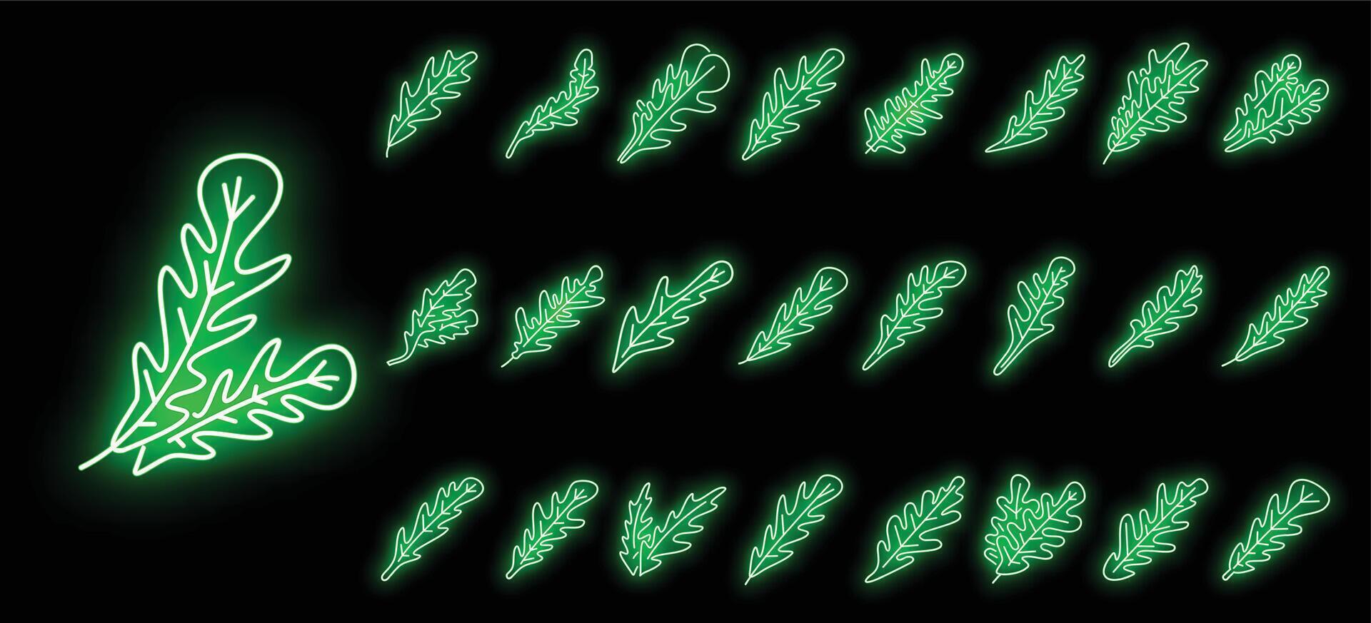 rucola blad pictogrammen reeks vector neon