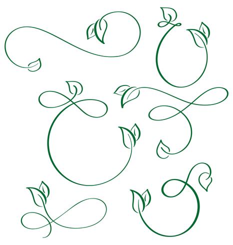 ontwerper kalligrafische elementen groene blad pictogrammen veganistisch ingesteld op witte achtergrond vector