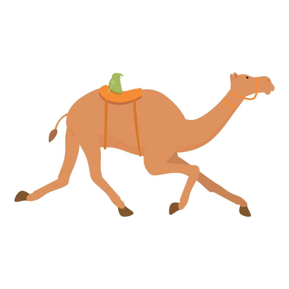 snelheid kameel rennen icoon tekenfilm vector. rijden landbouw vector