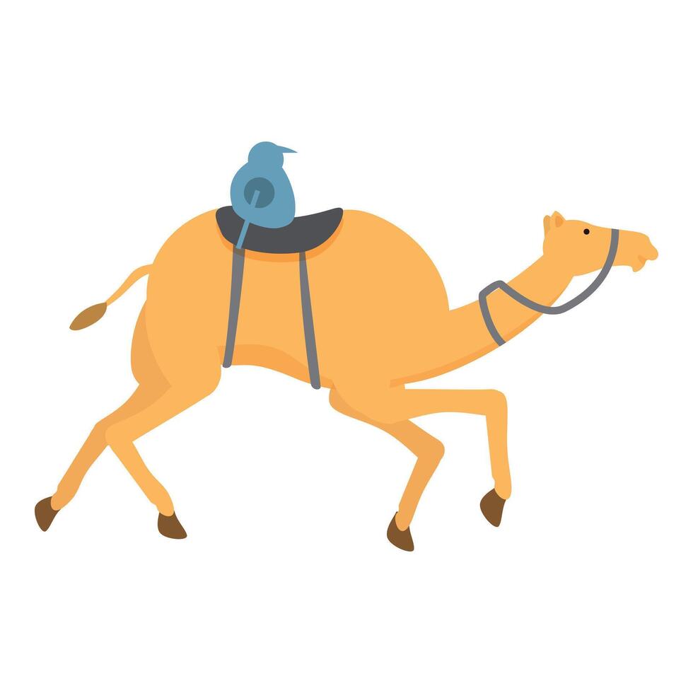 sport kameel racing icoon tekenfilm vector. jacht landbouw sport vector