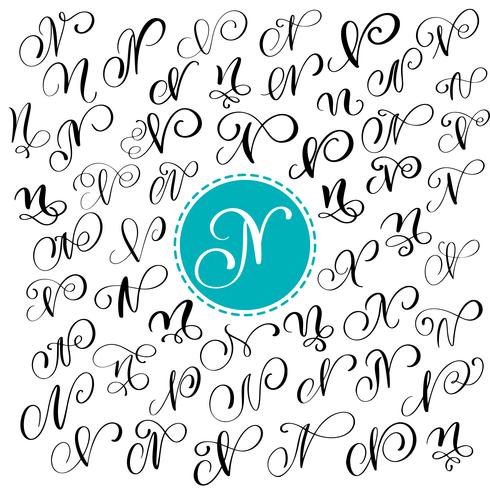 Set van hand getrokken vector kalligrafie brief N. Script lettertype. Geïsoleerde brieven geschreven met inkt. Handgeschreven penseelstijl. Hand belettering voor logo&#39;s verpakking ontwerp poster