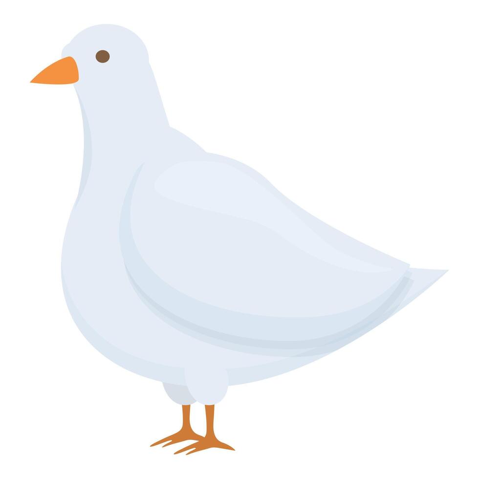 heilig wit duif icoon tekenfilm vector. zondag viering vector