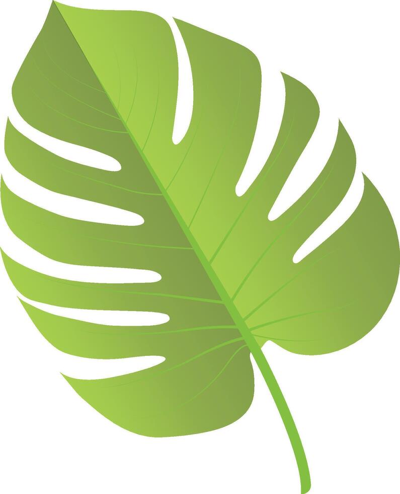groen blad geïsoleerd Aan transparant achtergrond vector