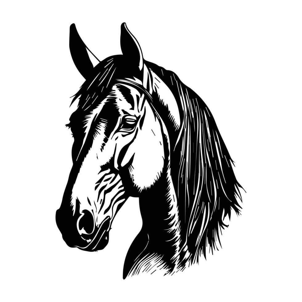 paard silhouet dier zwart paarden grafisch vector illustratie