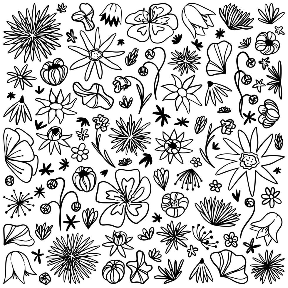 doodles verzameling van abstract bloemen. hand- getrokken vector illustraties. zwart schets wijnoogst tekeningen geïsoleerd Aan wit. gemakkelijk contour botanisch elementen voor ontwerp, kaarten, afdrukken, decor, stickers.