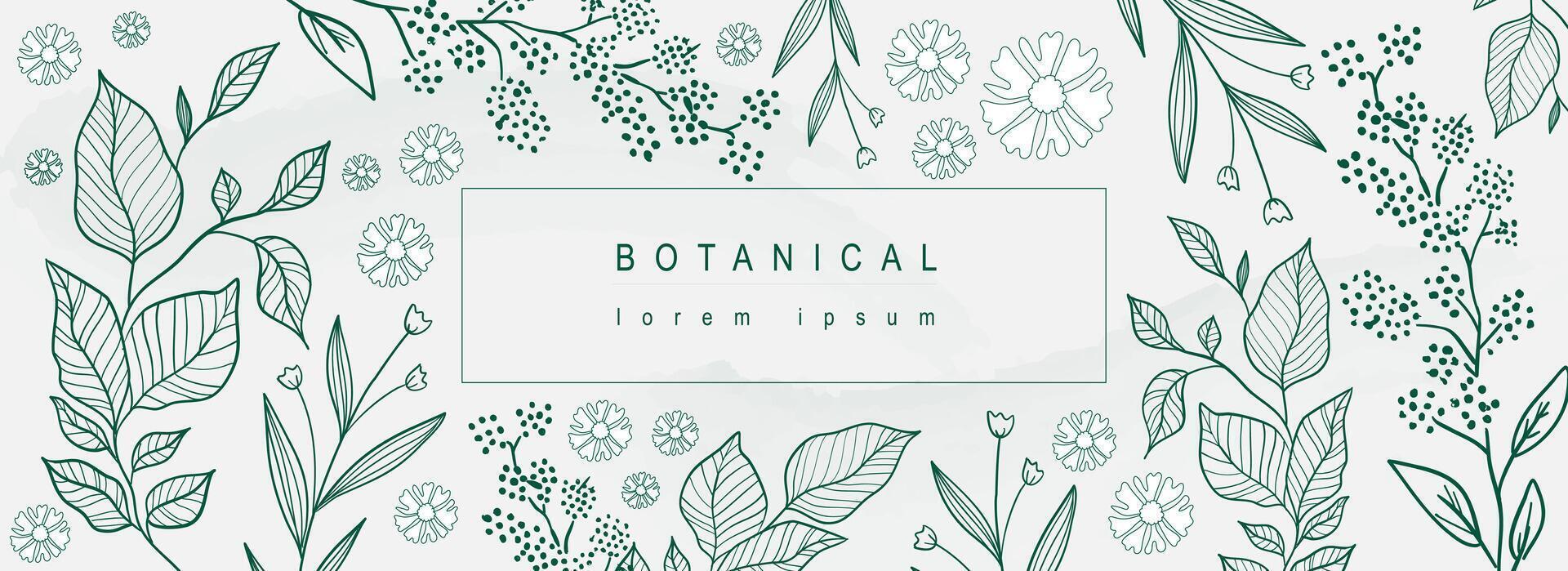 botanisch abstract achtergrond met bloemen lijn kunst ontwerp. horizontaal web banier in minimaal stijl met verschillend groen bladeren, fabriek takjes, bloeiend bloemen en wilde bloemen. vector illustratie.