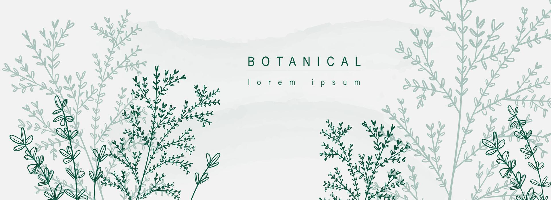 botanisch abstract achtergrond met bloemen lijn kunst ontwerp. horizontaal web banier in minimaal stijl met hand- getrokken groen bladeren, twijgen en fabriek takken met silhouet contouren. vector illustratie.