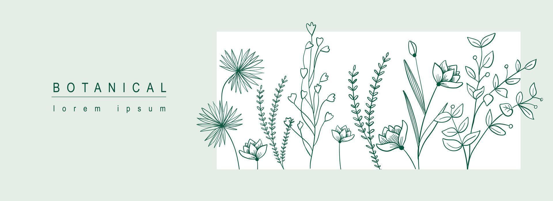 botanisch abstract achtergrond met bloemen lijn kunst ontwerp. horizontaal web banier in minimaal stijl met bloeiend verschillend bloemen, wilde bloemen, kruiden en bladeren in kader sjabloon. vector illustratie.