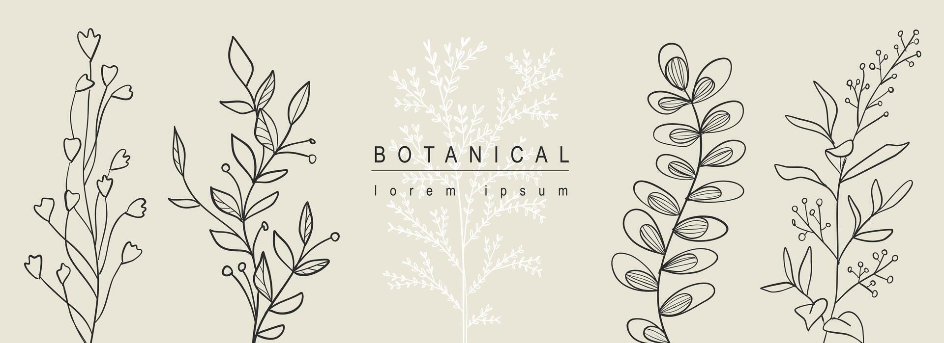 botanisch abstract achtergrond met bloemen lijn kunst ontwerp. horizontaal web banier met samenstelling van silhouet contouren vormen verzameling met kruiden, gras, twijgen en bladeren. vector illustratie.