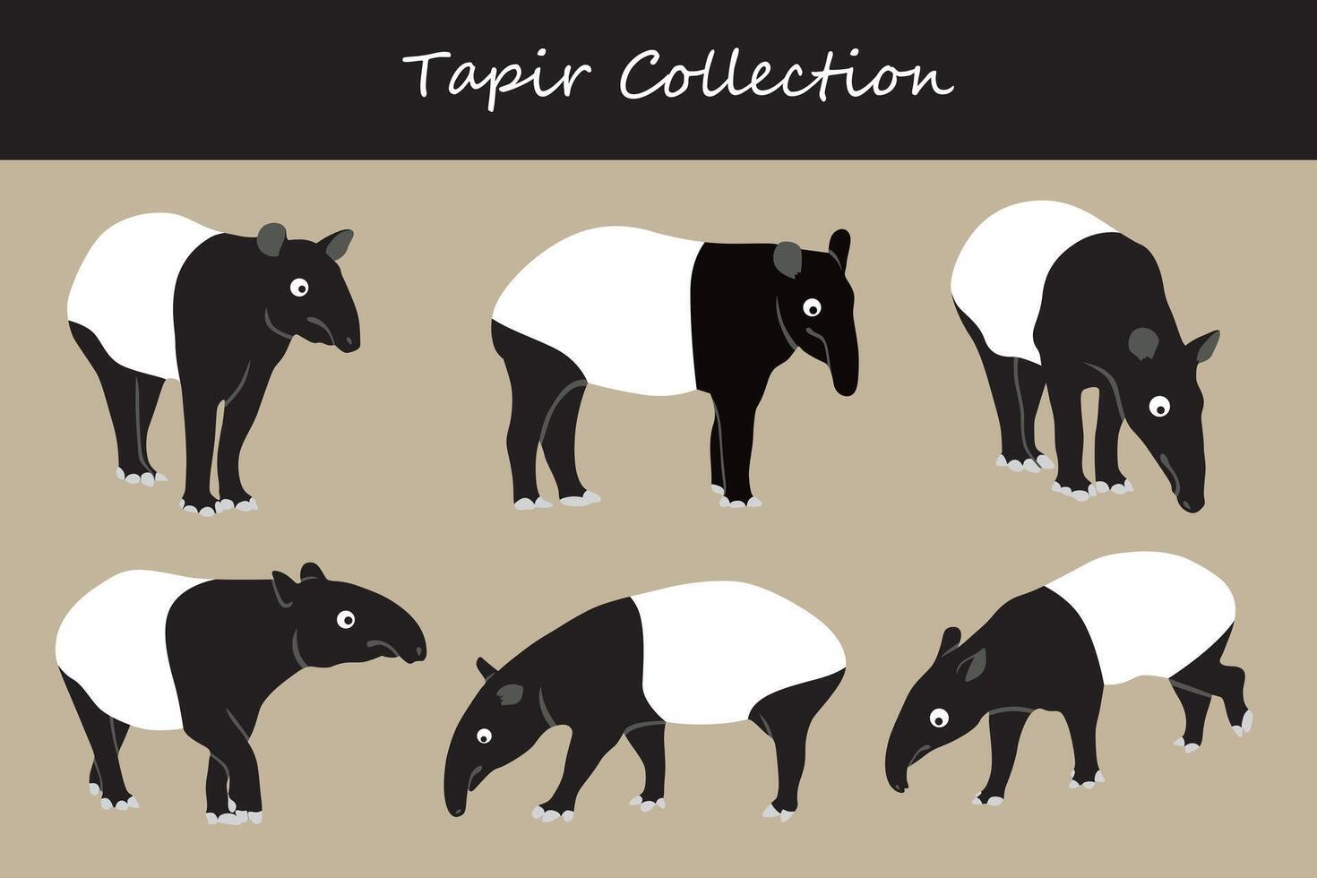 tapir vector illustratie set. schattig tapir geïsoleerd Aan wit achtergrond.