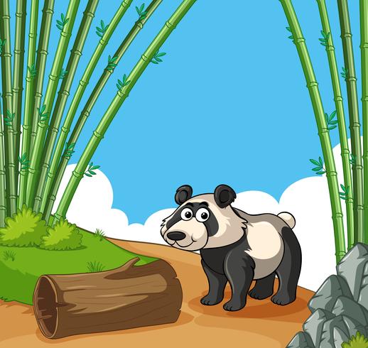 Gelukkige panda in bamboebos vector