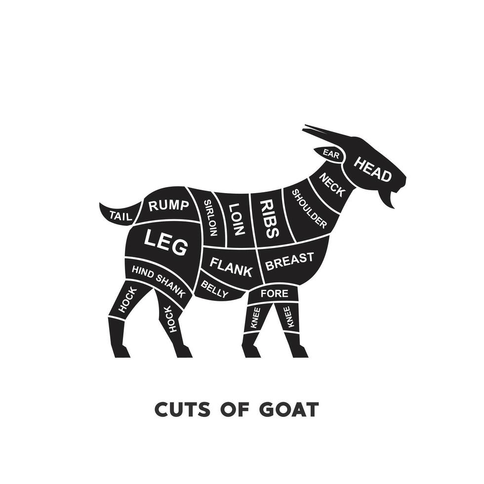 vector illustratie gids vlees bezuinigingen set. geit slager poster diagrammen en schema's.