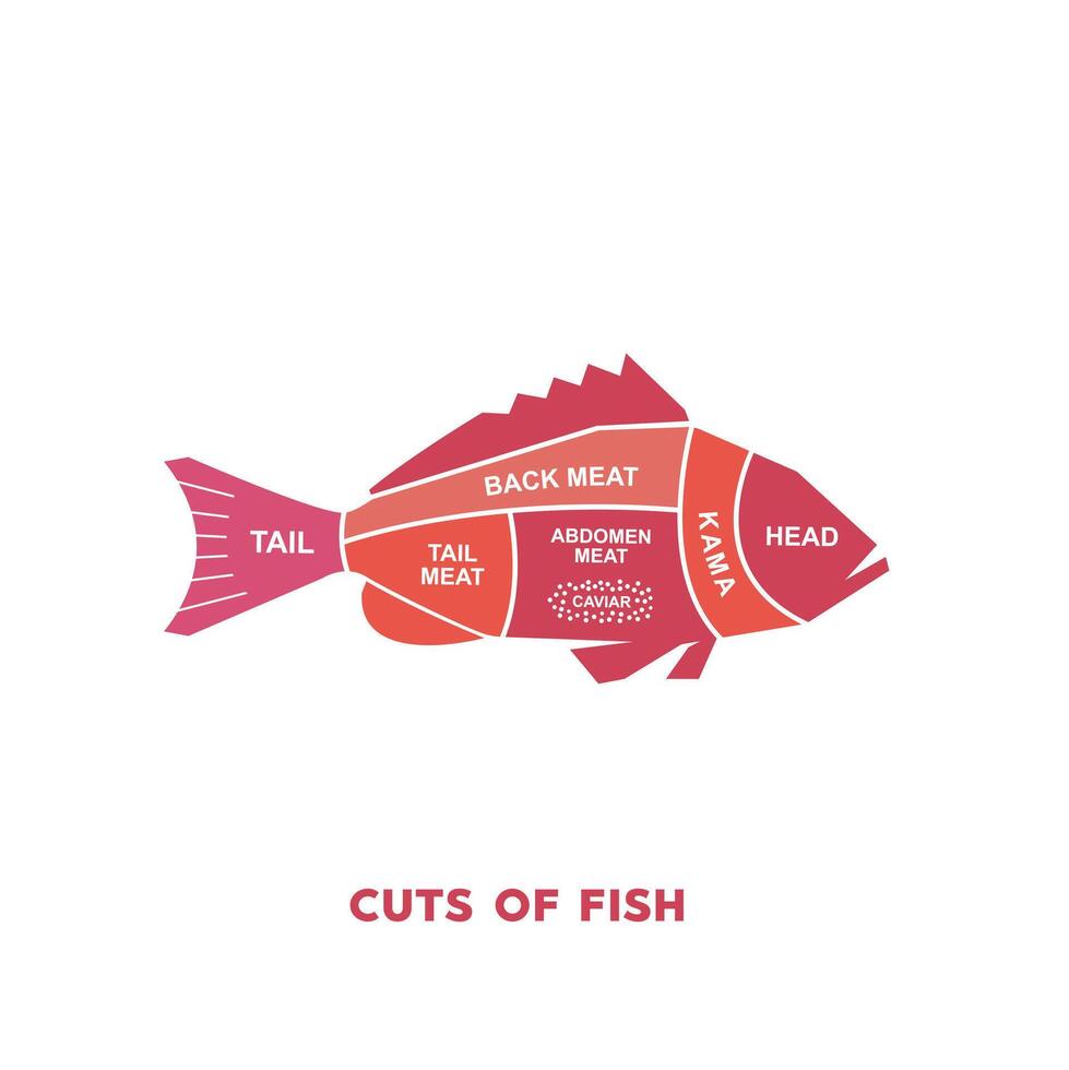 vector illustratie gids vlees bezuinigingen set. vis slager poster diagrammen en schema's.