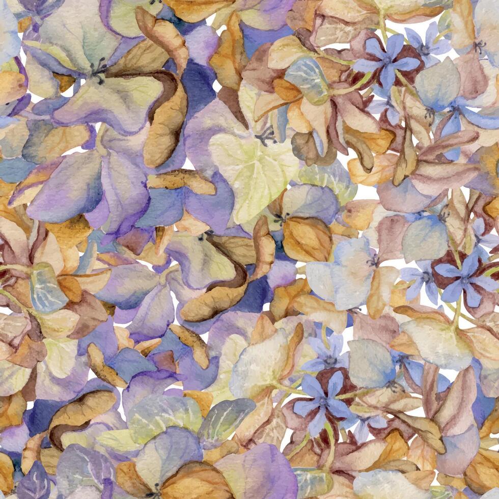 hand- getrokken waterverf illustratie haveloos boho botanisch bloemen bladeren. hortensia hortensia Purper verdord bloeiwijze. naadloos patroon geïsoleerd Aan wit achtergrond. ontwerp bruiloft, liefde kaarten vector
