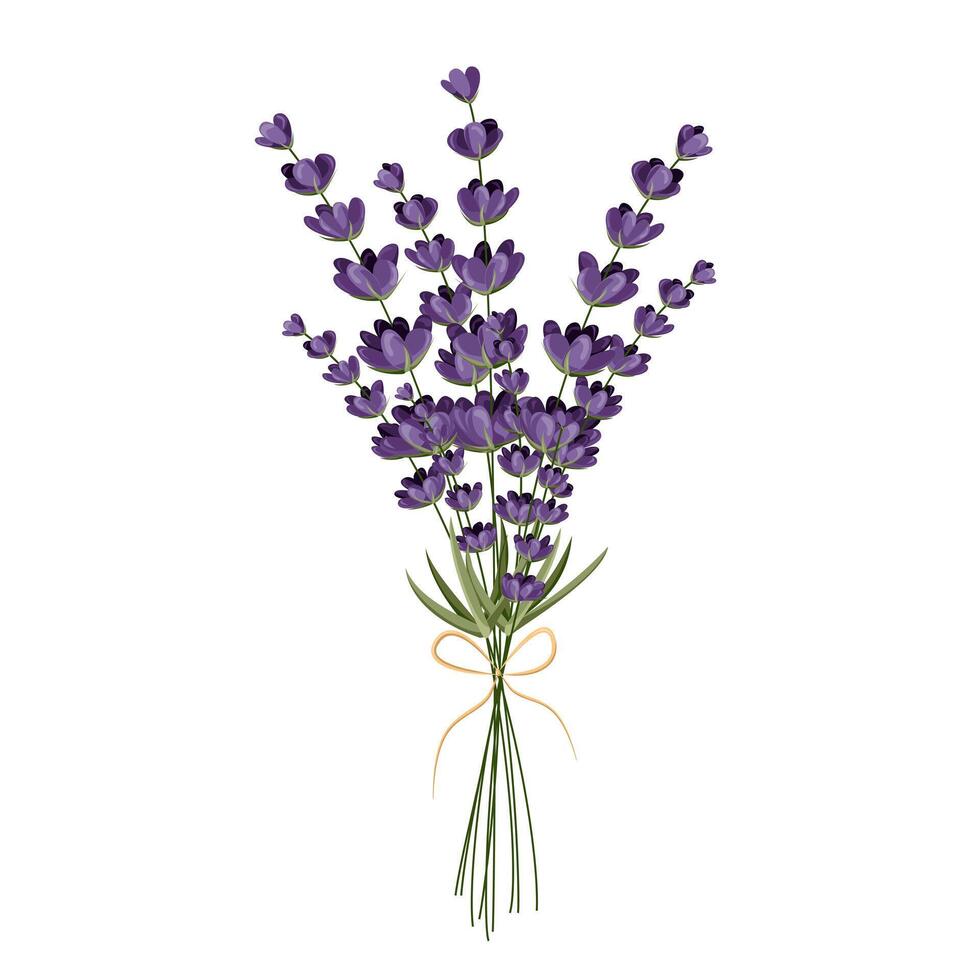 takken van lavendel. voor ontwerp kaarten, banners en patronen.vector illustratie vector