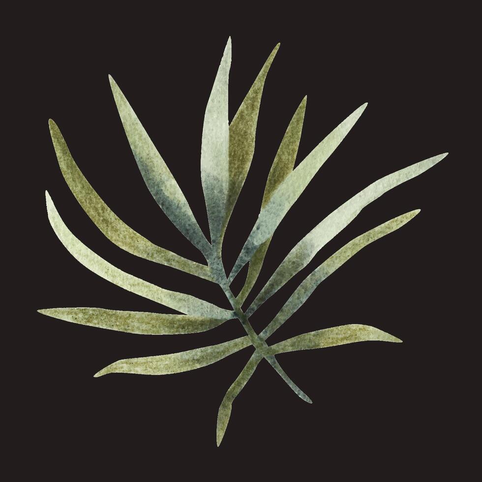 groen blad van palm boom. waterverf illustratie. geïsoleerd element vector