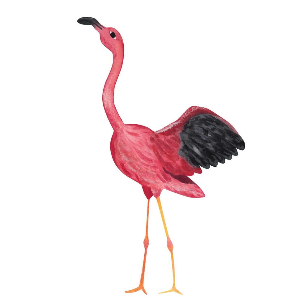 roze flamingo. waterverf illustratie. geïsoleerd element vector