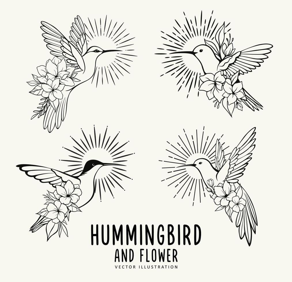 vliegend kolibrie en bloemen met zonnestraal vector