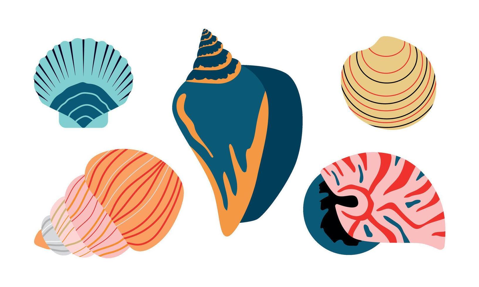 zee schelpen set. nautilus, weekdieren. geïsoleerd vector illustratie