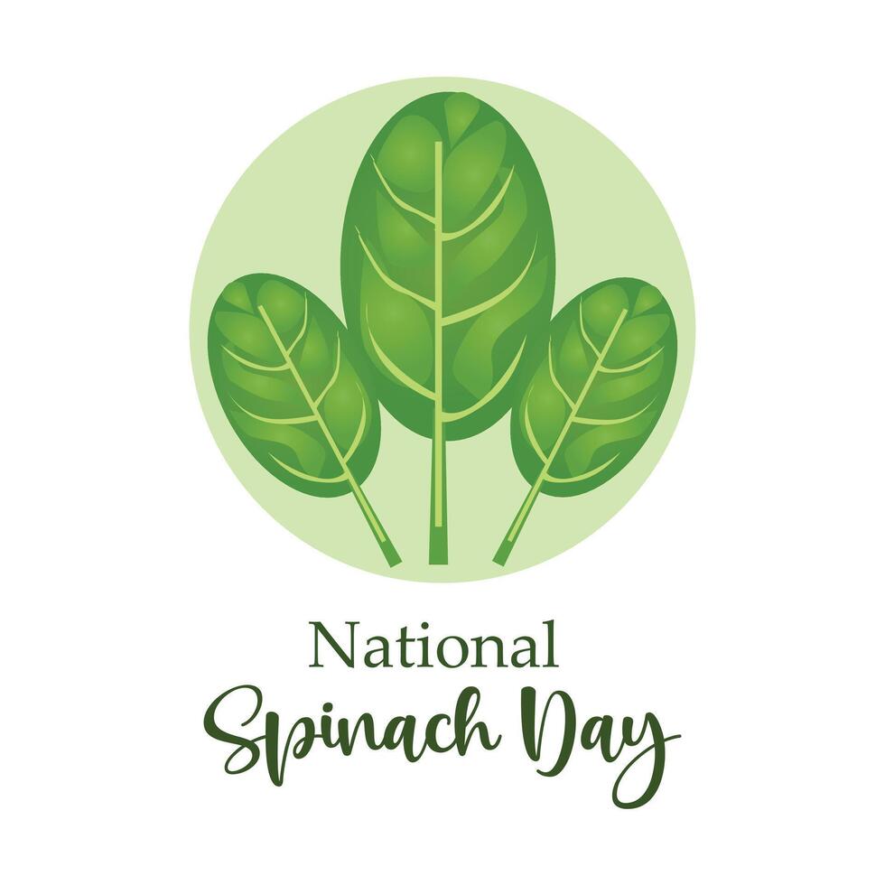nationaal spinazie dag teken vector
