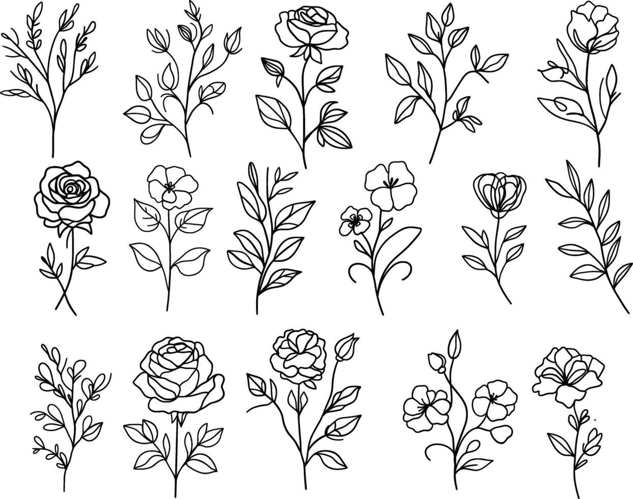 vector reeks van een lijn kunst bloemen. doorlopend mono lijnen rozen, bladeren, takken. bloesem logo's. gemakkelijk schetsen, zwart en wit. gebruik net zo bloemen pictogrammen en logo's. minimalistisch botanisch illustratie.