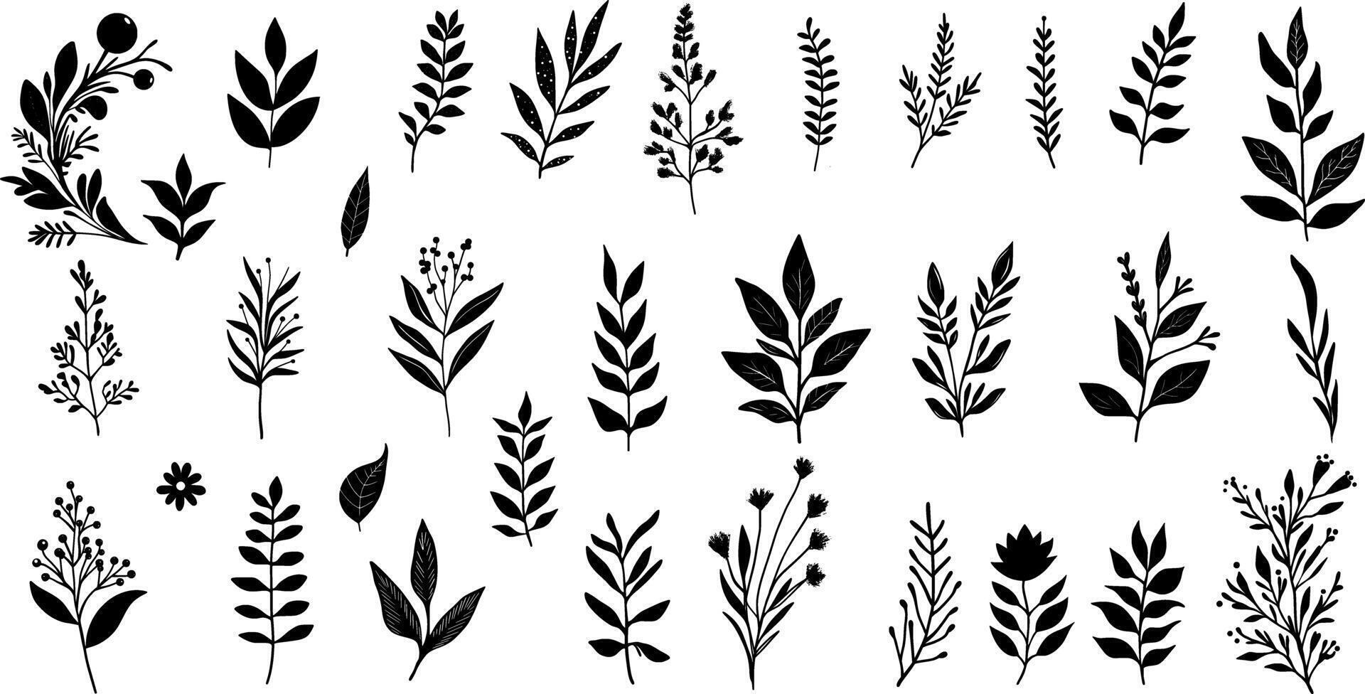 hand- getrokken bloemen elementen. vector reeks botanisch illustratie. minimalistische fabriek symbolen