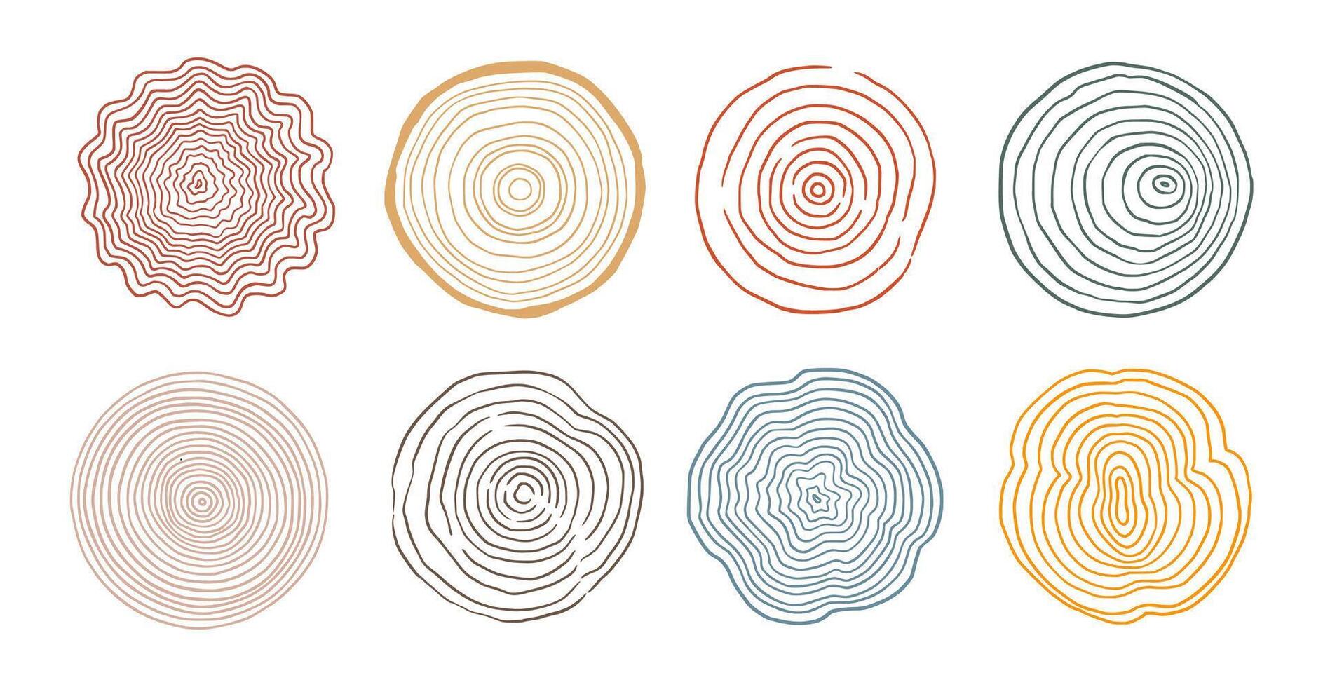 boom ring hout cirkel set. hand- getrokken boom ring patroon, lijn rimpeling cirkel hout textuur. hout biologisch plak lijn ontwerp. vector