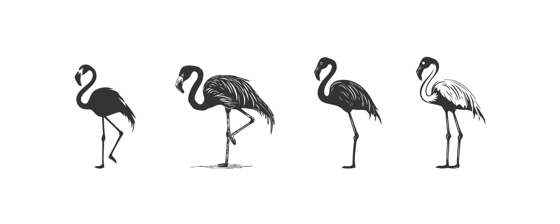 flamingo silhouet icoon set. vector illustratie ontwerp.