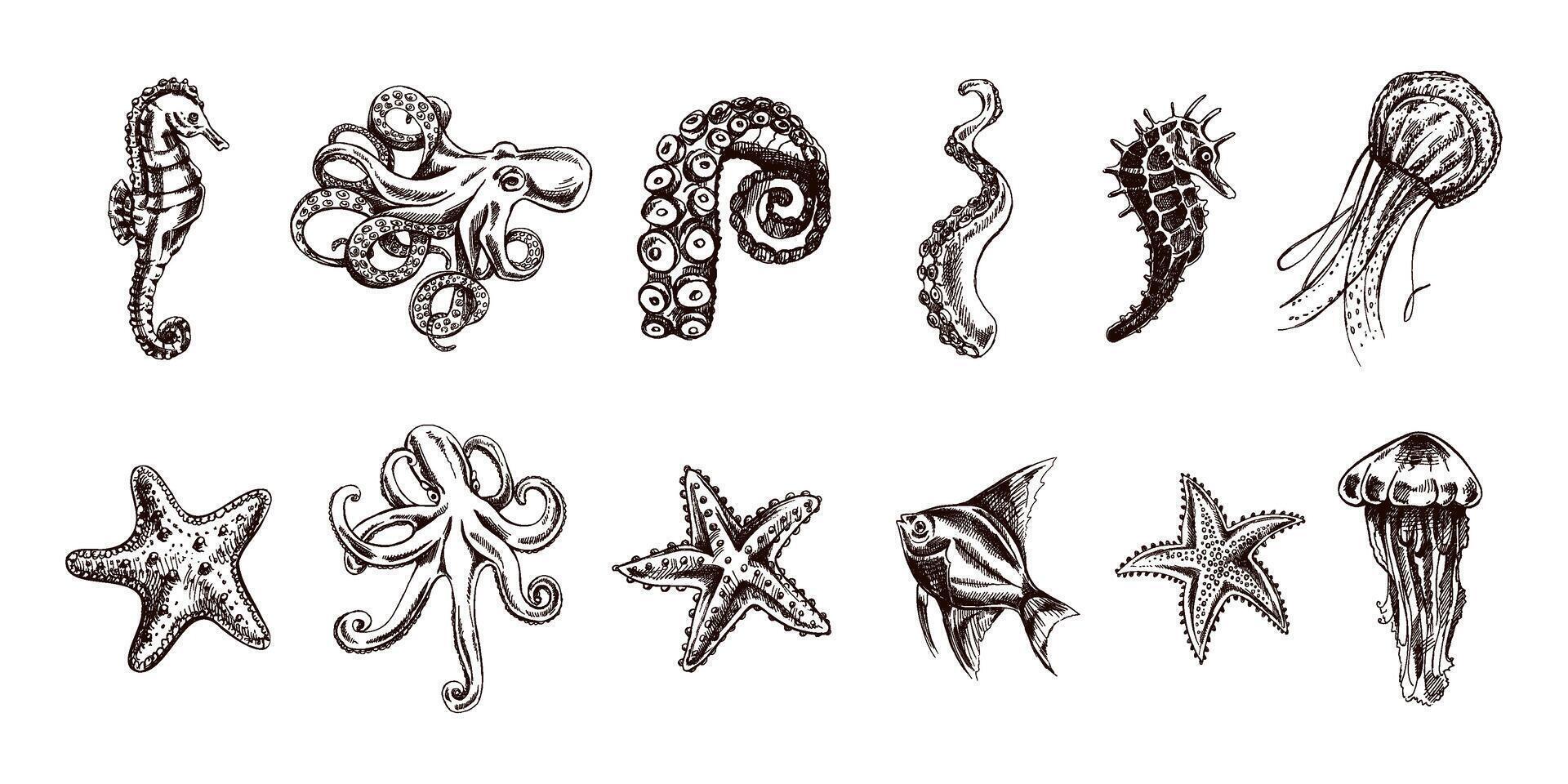 Octopus, vis, zeester, zeepaardjes, kwal set. hand- getrokken schetsen illustratie. verzameling van realistisch schetsen van divers oceaan schepsels geïsoleerd Aan wit achtergrond. vector