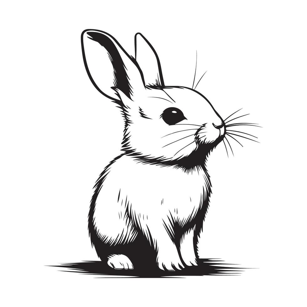 vector illustratie van konijn geïsoleerd Aan wit achtergrond