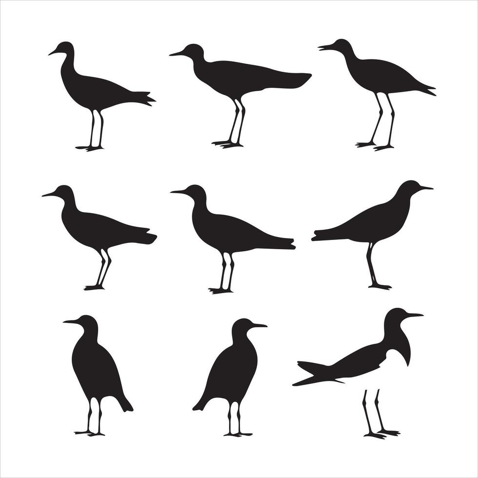 een zwart silhouet meeuw vogel reeks vector