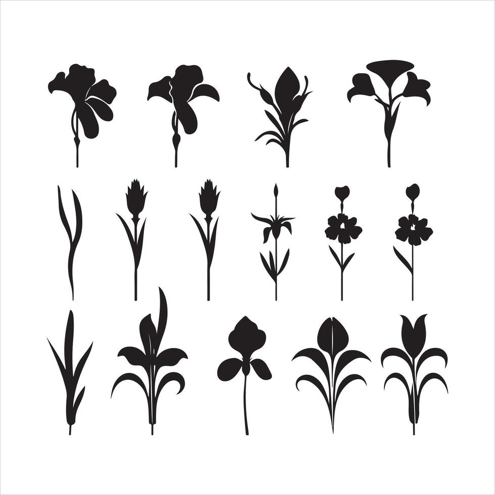 een zwart silhouet iris bloem reeks vector
