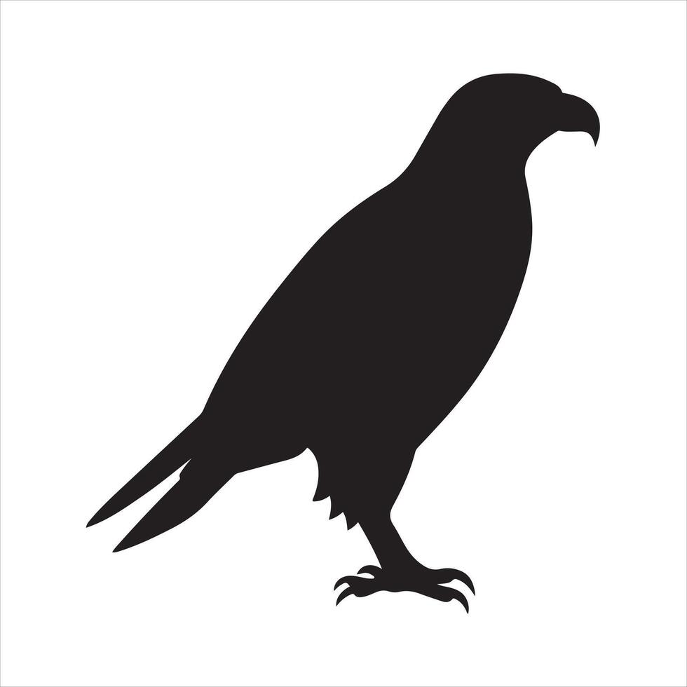 een zwart silhouet havik vogel reeks vector