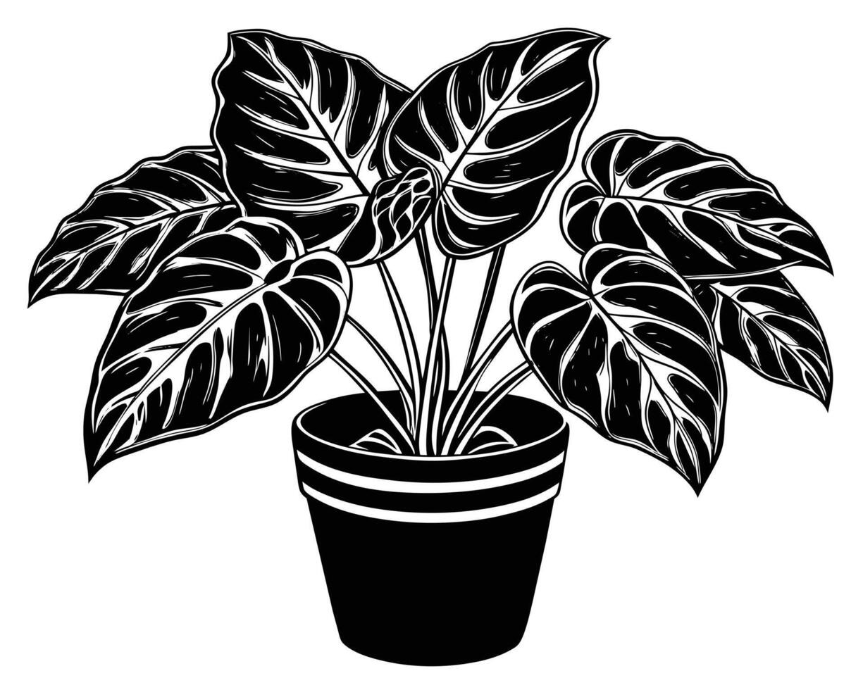 mooi gebladerte planten Aan een wit achtergrond vector illustratie