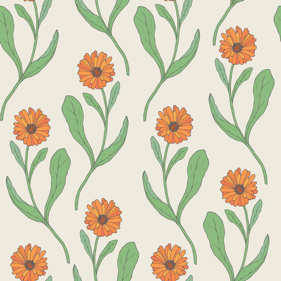 kleurrijk naadloos patroon met oranje calendula bloemen hand- getrokken in retro stijl. mooi bloeiend geneeskrachtig en culinaire kruid. natuurlijk vector illustratie voor textiel afdrukken, omhulsel papier.