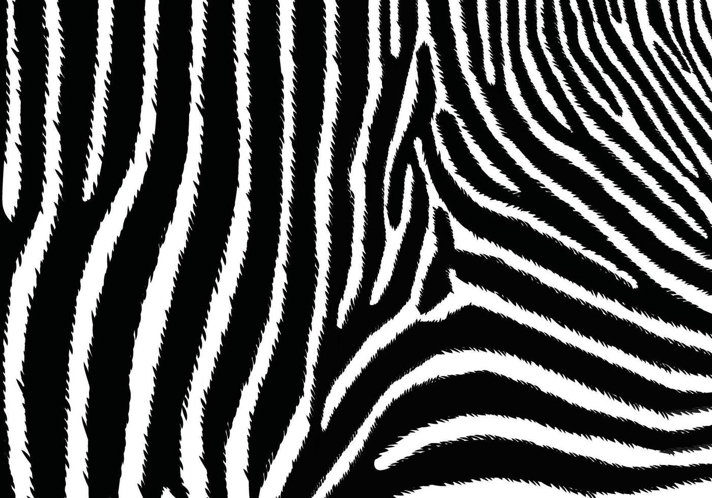 zebra patroon vorm vector in zwart wit voor achtergrond ontwerp.