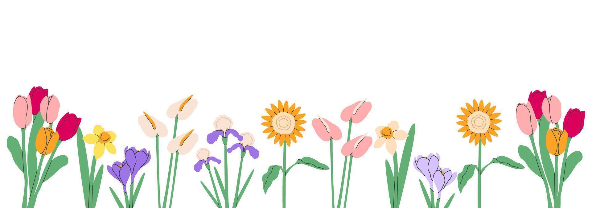 bloem boeket grens.lente en zomer bloemen, planten voor decoratie, bloeiend kruiden geïsoleerd Aan transparant achtergrond.hand getrokken set.vector illustratie eps 10. vector