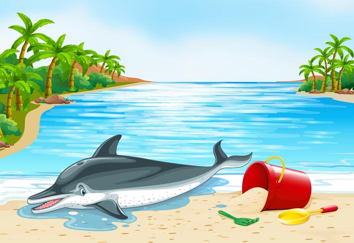 Dolfijn die op het strand ligt vector